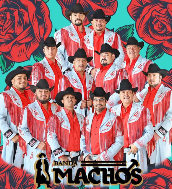Banda Machos suites and premium seating
