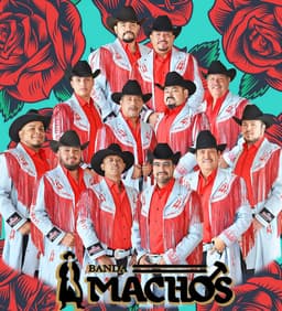 Banda Machos suites and premium seating