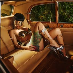 Platinum Suite, Barstool Seats