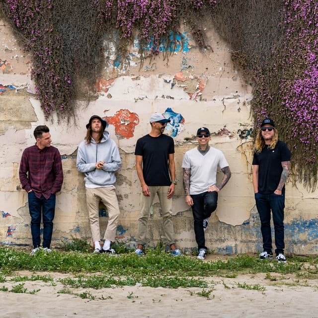 Dirty Heads image