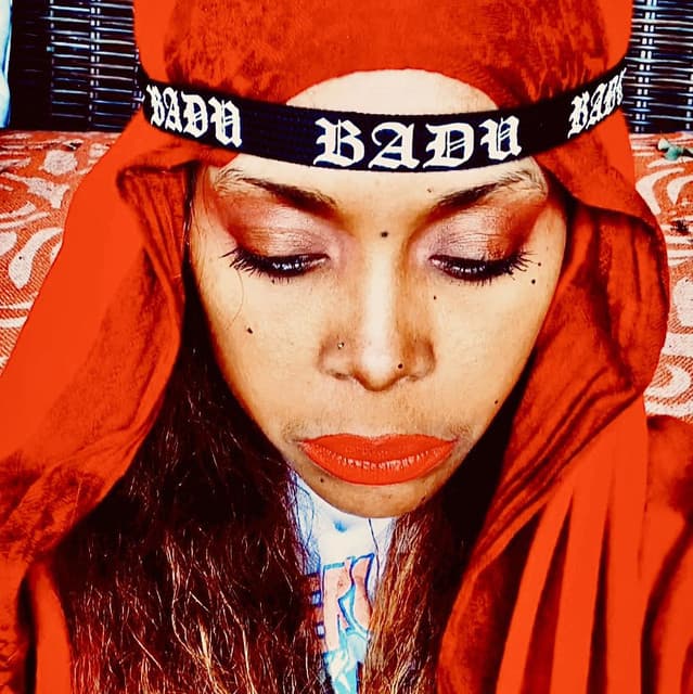 Erykah Badu image