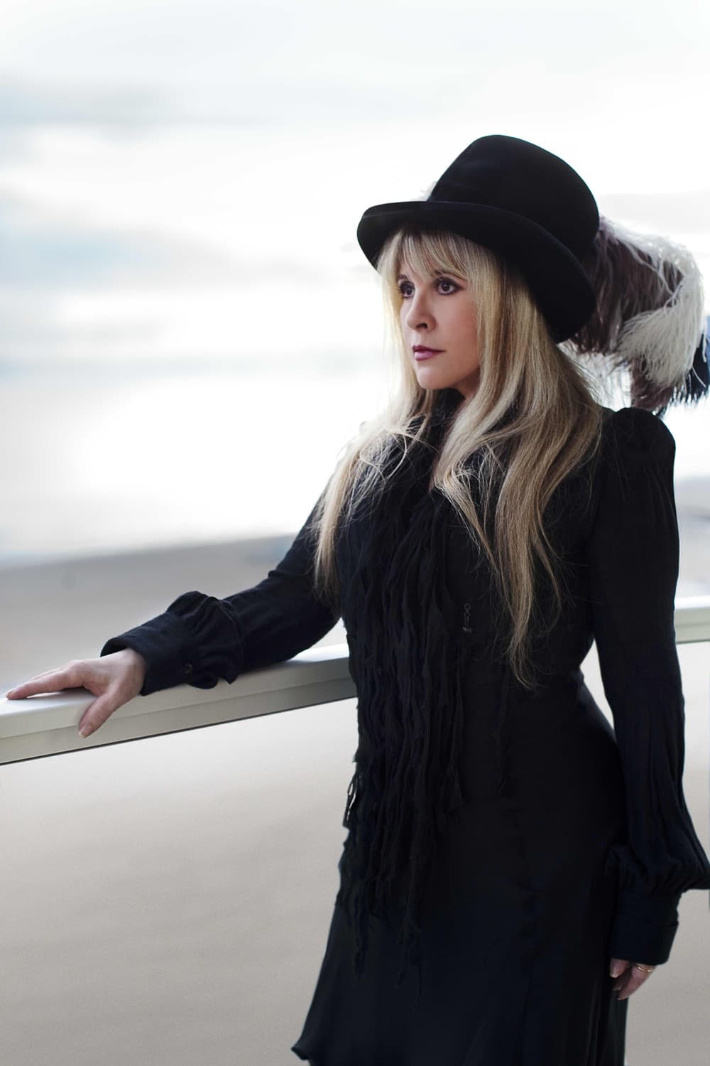 Stevie Nicks image