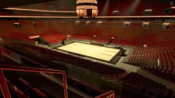 Center Court Suite 256