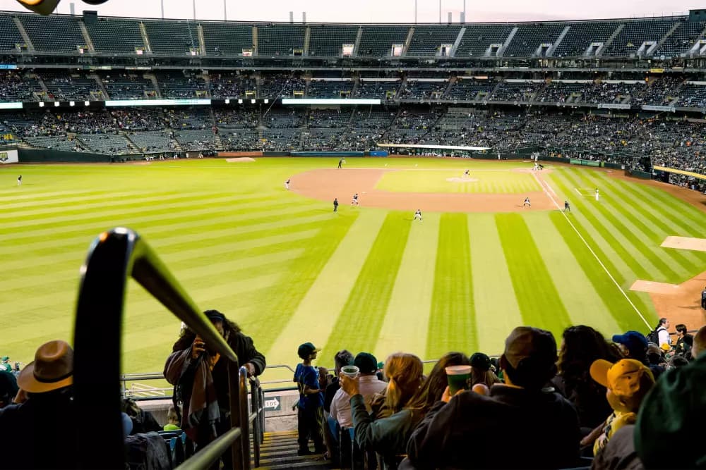 Athletics suites and premium seating